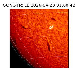 gong - 2026-04-28T01:00:42