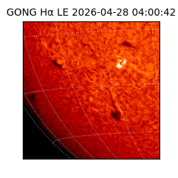 gong - 2026-04-28T04:00:42