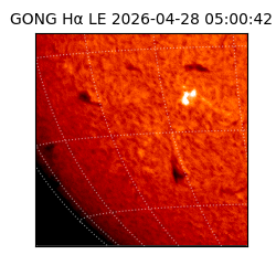 gong - 2026-04-28T05:00:42