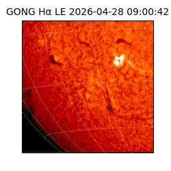 gong - 2026-04-28T09:00:42