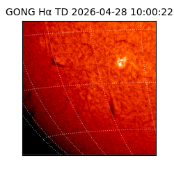 gong - 2026-04-28T10:00:22
