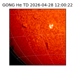 gong - 2026-04-28T12:00:22