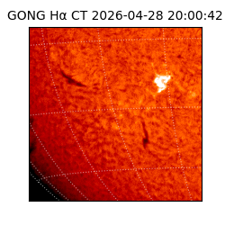 gong - 2026-04-28T20:00:42