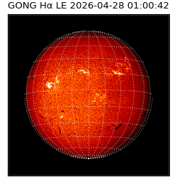 gong - 2026-04-28T01:00:42