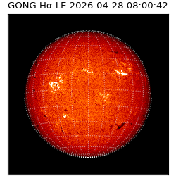 gong - 2026-04-28T08:00:42