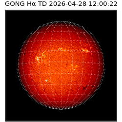 gong - 2026-04-28T12:00:22