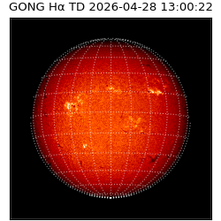 gong - 2026-04-28T13:00:22