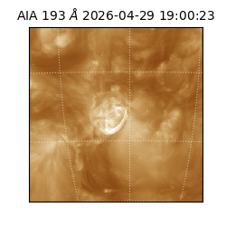 saia - 2026-04-29T19:00:23.468000