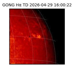 gong - 2026-04-29T16:00:22