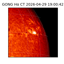 gong - 2026-04-29T19:00:42