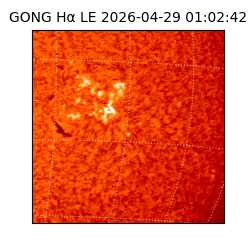 gong - 2026-04-29T01:02:42