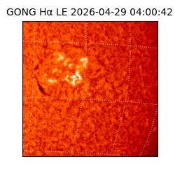 gong - 2026-04-29T04:00:42