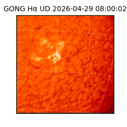 gong - 2026-04-29T08:00:02