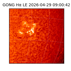 gong - 2026-04-29T09:00:42
