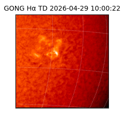 gong - 2026-04-29T10:00:22