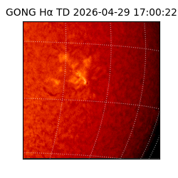 gong - 2026-04-29T17:00:22