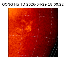 gong - 2026-04-29T18:00:22