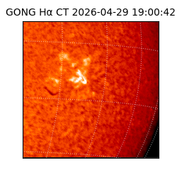 gong - 2026-04-29T19:00:42
