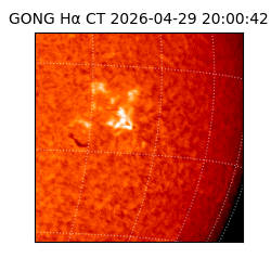 gong - 2026-04-29T20:00:42