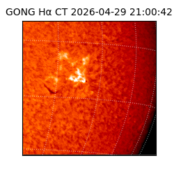 gong - 2026-04-29T21:00:42
