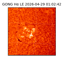 gong - 2026-04-29T01:02:42
