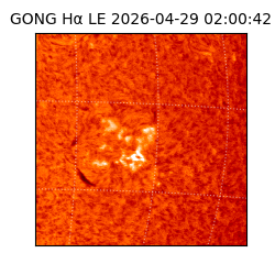 gong - 2026-04-29T02:00:42