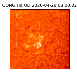 gong - 2026-04-29T08:00:02