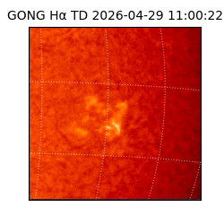 gong - 2026-04-29T11:00:22