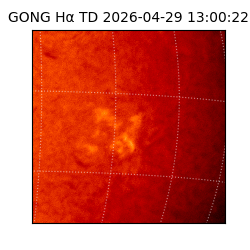gong - 2026-04-29T13:00:22