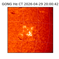 gong - 2026-04-29T20:00:42