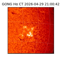 gong - 2026-04-29T21:00:42