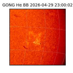 gong - 2026-04-29T23:00:02