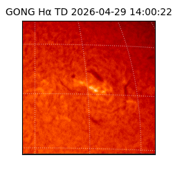 gong - 2026-04-29T14:00:22