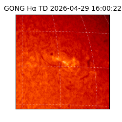 gong - 2026-04-29T16:00:22