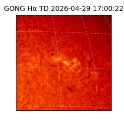 gong - 2026-04-29T17:00:22