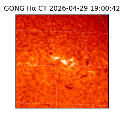 gong - 2026-04-29T19:00:42
