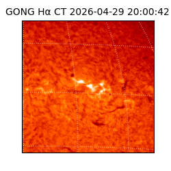 gong - 2026-04-29T20:00:42