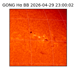 gong - 2026-04-29T23:00:02