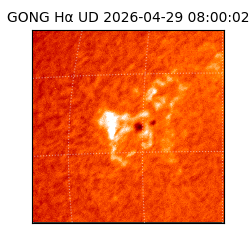 gong - 2026-04-29T08:00:02