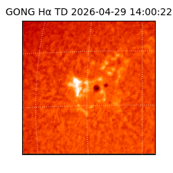 gong - 2026-04-29T14:00:22