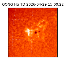 gong - 2026-04-29T15:00:22