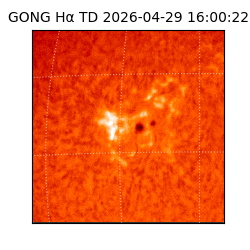 gong - 2026-04-29T16:00:22