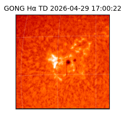 gong - 2026-04-29T17:00:22