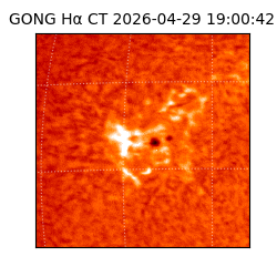 gong - 2026-04-29T19:00:42