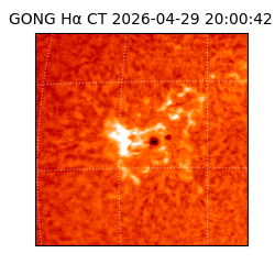 gong - 2026-04-29T20:00:42