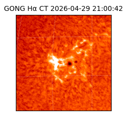 gong - 2026-04-29T21:00:42