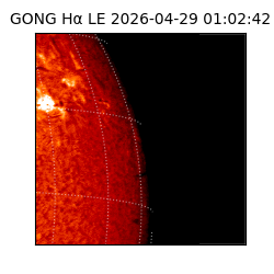 gong - 2026-04-29T01:02:42