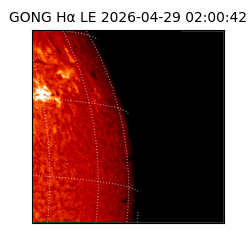gong - 2026-04-29T02:00:42