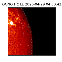 gong - 2026-04-29T04:00:42
