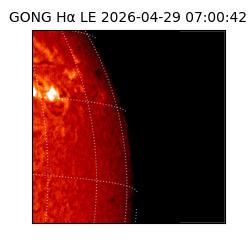 gong - 2026-04-29T07:00:42